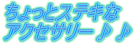 ちょっとステキな アクセサリー♪♪